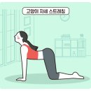 척추 질환 예방 허리와 다리 통증 잡는 요가 | 당산 요가, 10년 차 매니저가 알려주는 '허리 통증' 잡는 법