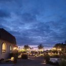 스테이 다로 2 이미지