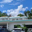 환희네 꿀벌농원 이미지