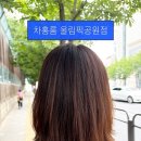 곱슬 탈출 성공! 송파구 미용실 차홍룸 올림픽공원점 볼륨매직 후기