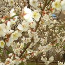 희망찬농장 이미지