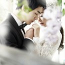 엘가스튜디오 이미지