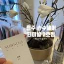 청주 미용실 내돈내산 모발 클리닉 후기, 강서동 손수헤어 터미널 2호점