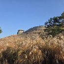 찬스포유