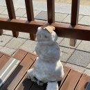 에이앰 이미지