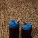 홈스파월드 이미지