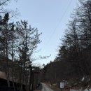 방배쉼터 공중화장실 | 등린이의 소백산등산후기 / 쉬운산이라고 믿고갔다가 혼쭐난 등산후기