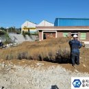 대성주유소 이미지