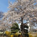 조동진축사 이미지