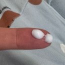 도현테라피 | 태열, 침독, 땀띠 아기 화장품 추천 [ 내돈내산후기, 하우파파 스틱밤 제품제공]