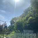 도봉-도봉-서울도봉-2289 | 위치도 시설도 완벽한 서울 최애 캠핑장 '초안산캠핑장'