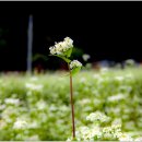여지공인중개사사무소 이미지