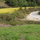 여주-0928 이미지