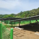 성진 태양광발전소 이미지