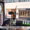 살롱드소은