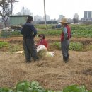 영만농장 이미지