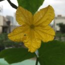 미래공인중개사 이미지