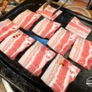 돼지들의이야기 이미지