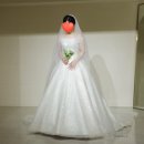 상아A | wedding 15. 디아일 드레스 본식 가봉 후기 및 셀렉, 실제 본식 후기 [착용샷, 실크맛집]