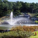 (주)관악 레스토랑 이미지