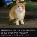 777럭키 이미지