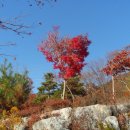 한방생태숲 이미지