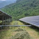 예지태양광발전소 이미지