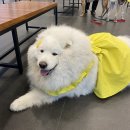 천안24시스카이동물메디컬센터 이미지