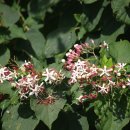 별망성지 이미지