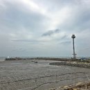 매향리 평화생태공원 이미지