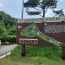 무궁화횟집 이미지