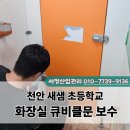 새샘초등학교 이미지
