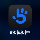 플라잉독 | [이룸 필라테스&amp;요가플라잉번지] 플라잉요가 | 번지핏 | 상체교정요가 | 아쉬탕가 수업 후기