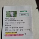 진영삼대감