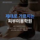 살롱 드 비숑 이미지