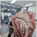 푸줏간돼지고기 - 창원시 진해구 충장로 88 | 푸줏간돼지고기