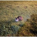 깊은내펜션 이미지