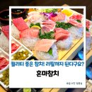 혼마참치 | 원주 참치맛집 단계동 참다랑어 전문점 혼마참치