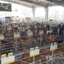 보성축협축산종합물류센터 이미지