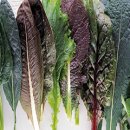 밀론앤스마트짐 이미지