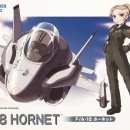 A-18 이미지
