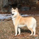 서울대공원 이미지