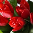 용산-353 이미지