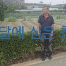 병만농장 이미지