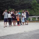 잣나무솔향기 이미지