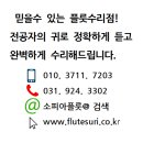소피아플룻수리