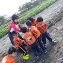 가용농장 이미지