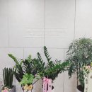 서울다정치과의원 이미지