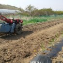 아멘농장 이미지