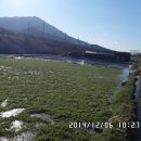 달음산자연휴양림 이미지